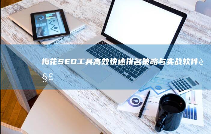 梅花SEO工具：高效快速排名策略与实战软件解析